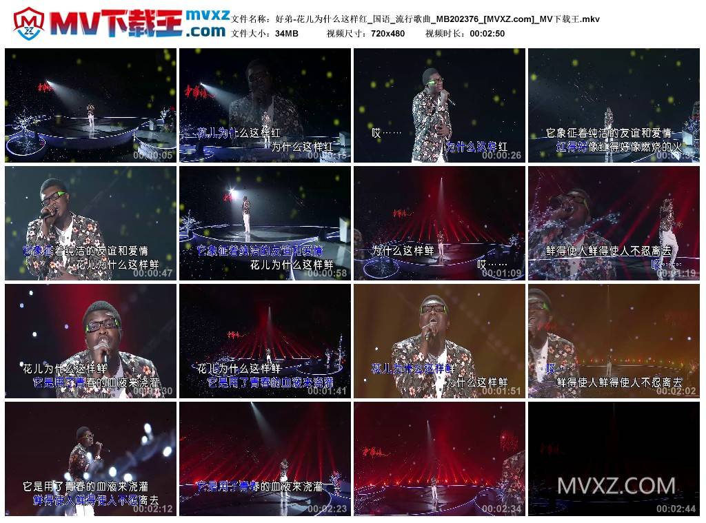 好弟-花儿为什么这样红_国语_流行歌曲_MB202376